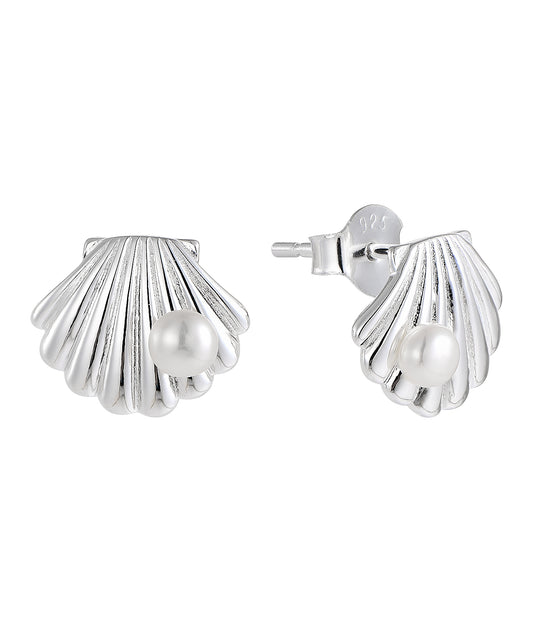 Pearl Shell Stud Earrings